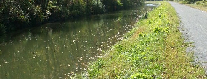 Delaware Canal is one of Cycling Destinations.