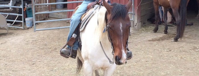 Schooner Valley Stables is one of Outdoor Activities.