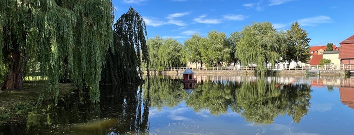 Mühlenteich is one of Andere  Orte.