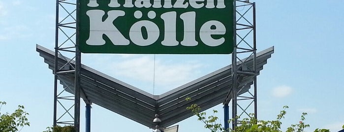 Pflanzen-Kölle is one of Neuigkeiten.