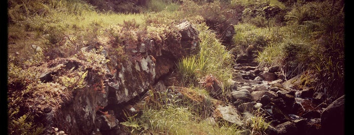 Midsund is one of Yunus'un Beğendiği Mekanlar.