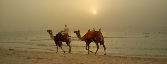 The Beach is one of Dubai - Beaches.