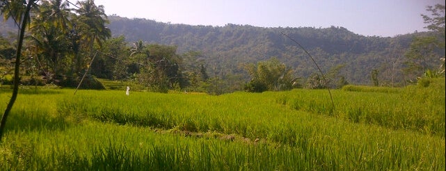 Bungbulang is one of rumah dulur-dulur.