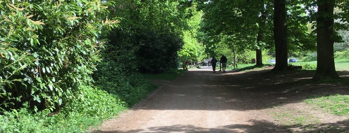 Nonsuch Park is one of Places in Cheam.