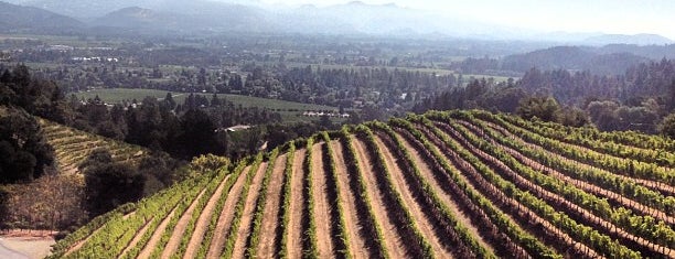 Newton Vineyard is one of Napa Valley.