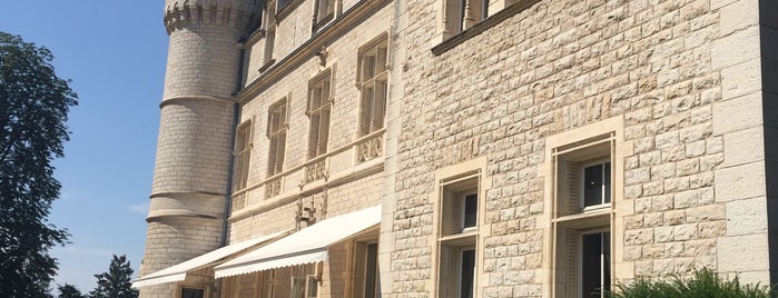 Institut Paul Bocuse is one of Must-visit Restaurants in Lyon.