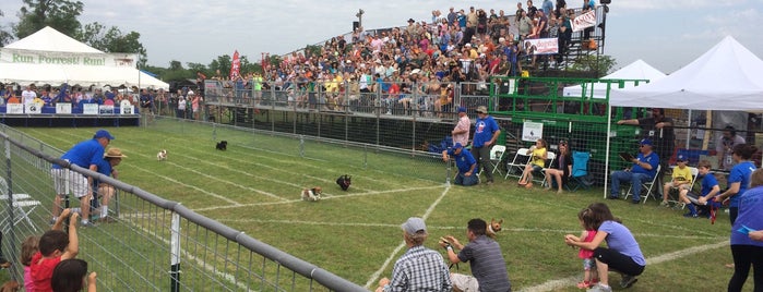 Wiener Dog Races is one of Buda, TX.