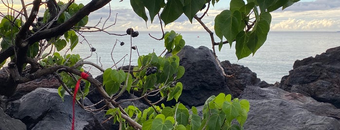 Mauna Lani Beach Club is one of Big Island Eats.