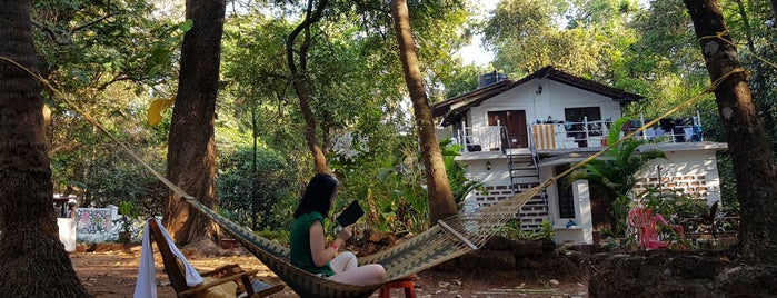 Jungle Hostel is one of Goa.