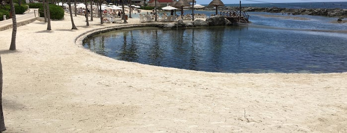 Hacienda Lagoon is one of Allison’s Liked Places.