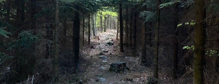 Kounov - kamenné řady is one of สถานที่ที่ Jiri ถูกใจ.