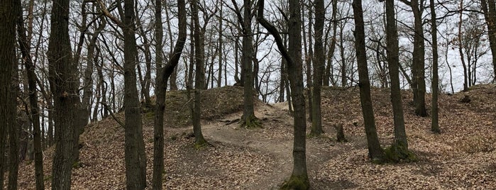 MTB Track (Maturita) is one of MTB v Česku.