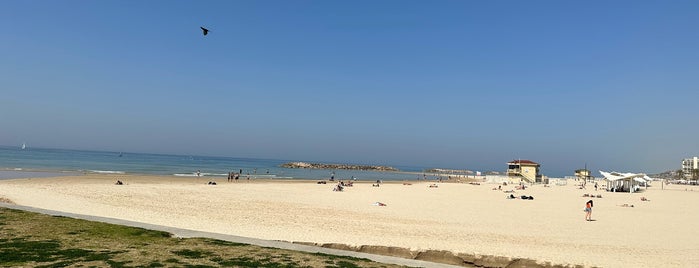 Herzliya Beach is one of Ron : понравившиеся места.