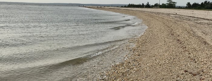 Cornell Cooperative Extension Marine Education Center is one of Hamptons.