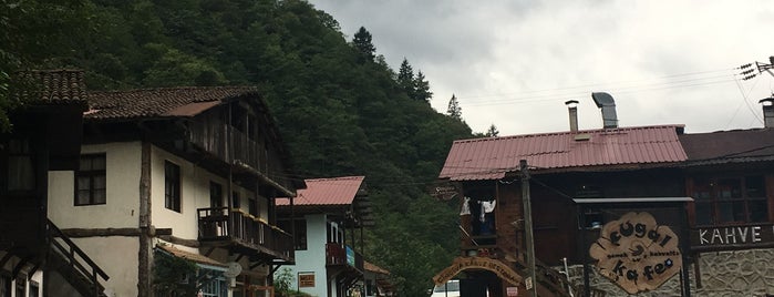 Şenyuva is one of Rize.