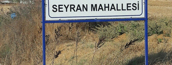 Seyran Köy Meydanı is one of Orte, die yediyukarı gefallen.