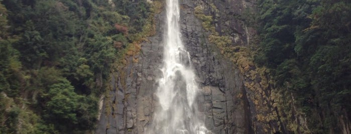 Nachi Falls is one of ぎゅ↪︎ん 🐾🦁 : понравившиеся места.