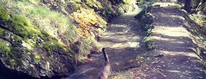 Torrent-Neuf is one of Tim'in Beğendiği Mekanlar.