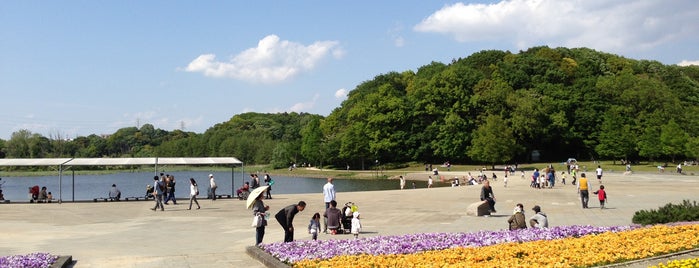 21世紀の森と広場 is one of 公園.