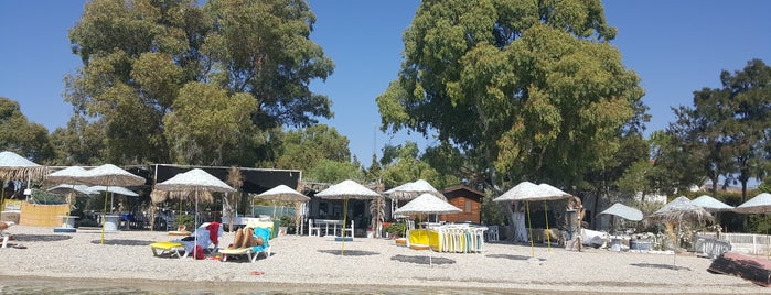 Rota Cafe is one of Foça Dikili.