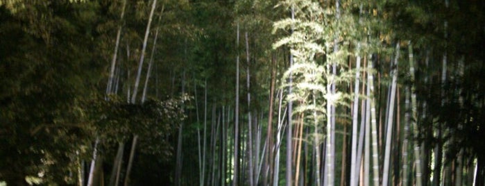 Kodai-ji is one of Travel : Sakura Spot.