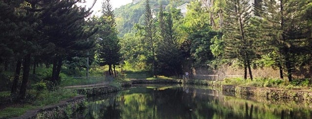 maria luisa lake is one of Locais curtidos por Mustafa.
