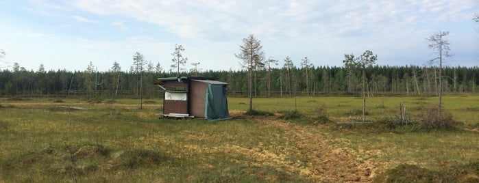 Kuikka kämppä is one of Tempat yang Disukai Diana.