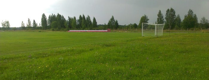 Стадион Тосно is one of Тосно.
