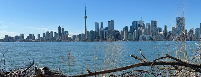 Algonquin Island is one of Toronto Neighbourhoods.