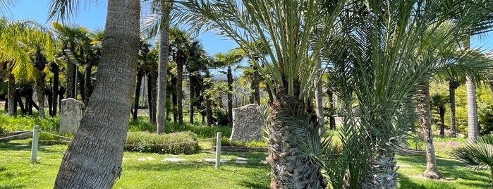 Uzbaş Arboretum is one of Izmir.