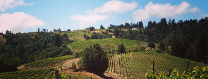 Hirsch Winery is one of Sonoma County.