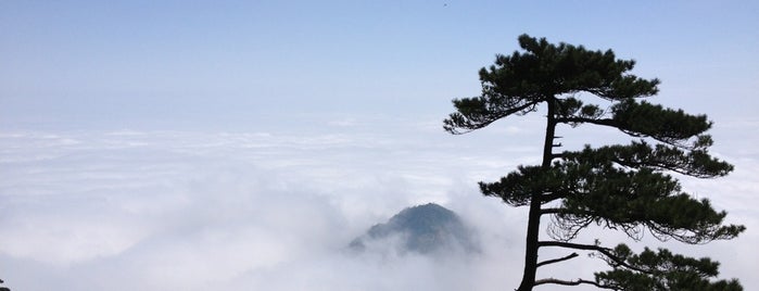 Mount Sanqing Tourist Scenic Area is one of UNESCO World Heritage Sites in China.