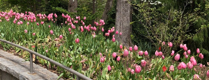 Atlanta Botanical Garden is one of Tempat yang Disukai Bob.
