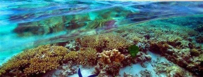 Great Barrier Reef is one of Eastern Australia Guide.