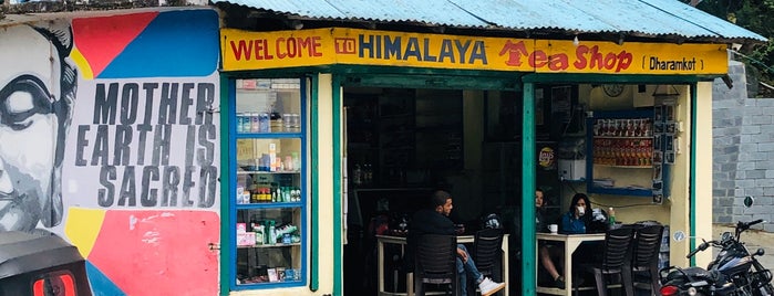 Himalayan tea shop is one of india.