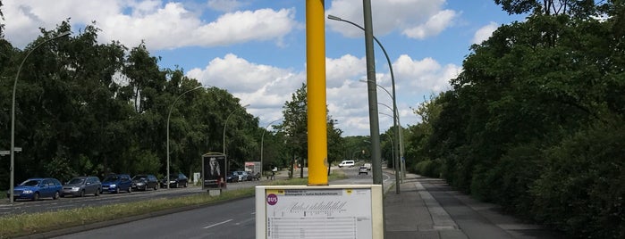 H Kniprodestraße / Storkower Straße is one of ÖPNV Berlin.