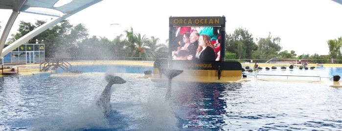 Loro Parque is one of Alinaさんのお気に入りスポット.