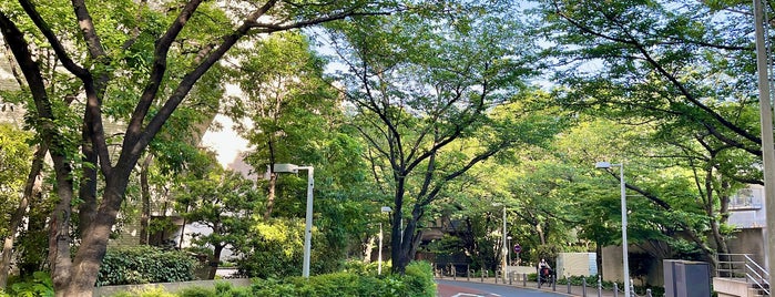 さくら坂 is one of 東京坂 ～千代田・港区～.