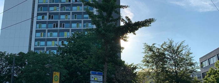 H Lennéplatz is one of Dresden tram line 13.