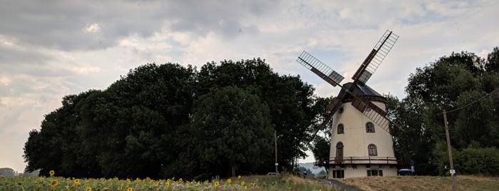 Gohliser Windmühle is one of Jörg'un Beğendiği Mekanlar.