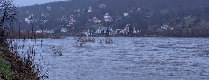 Laubegaster Ufer is one of Dresden (City Guide).