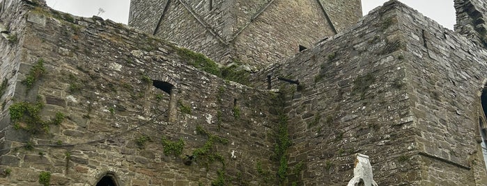 Abadía de Jerpoint is one of Ireland.
