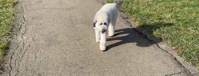 Spindler Dog Run is one of Columbus.