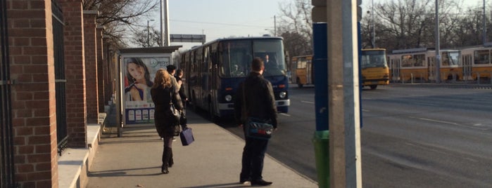 Népliget (103, 254E) is one of Bus station Budapest.