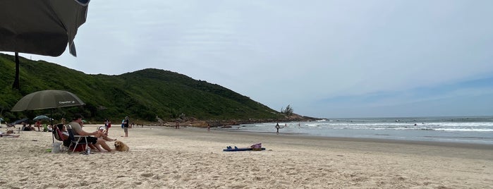 Rosa Norte is one of Praia do Rosa.