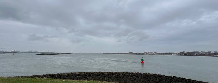 De Punt is one of Hoek van Holland / Maasvlakte 🇳🇬.