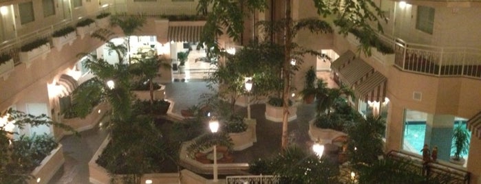 Embassy Suites by Hilton is one of Lugares favoritos de Eve.