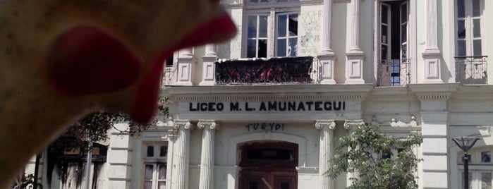 Liceo Miguel Luis Amunategui is one of Lugares favoritos de Paola.
