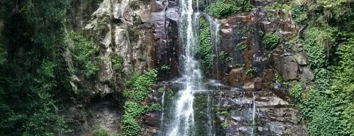 Minnamurra Rainforest is one of Tempat yang Disukai Darren.