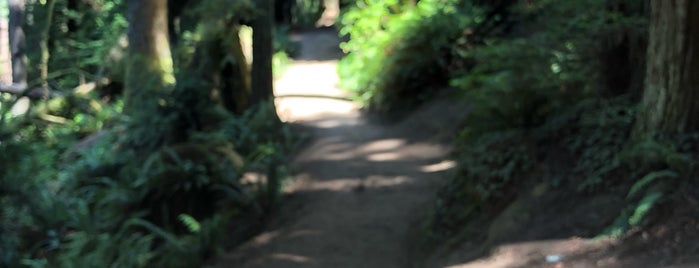 Arcata Community Forest is one of Orte, die eric gefallen.